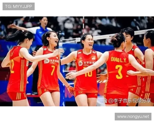 新赛季排球联赛风云再起球队格局与明星球员动向深度解析前瞻