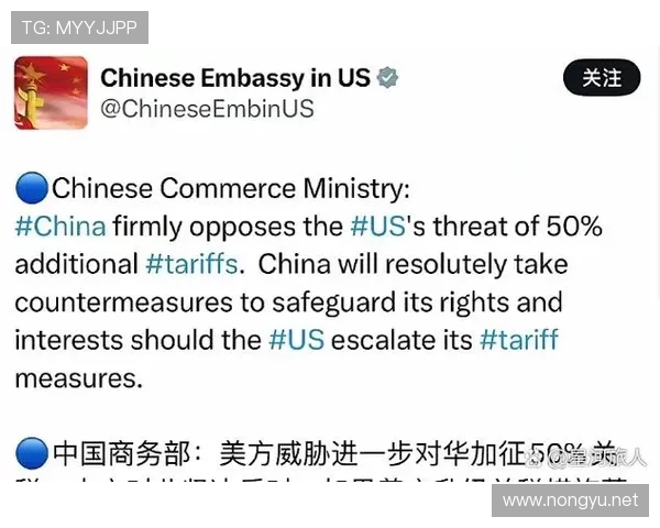 球员社交媒体点赞背后的深层原因与影响分析