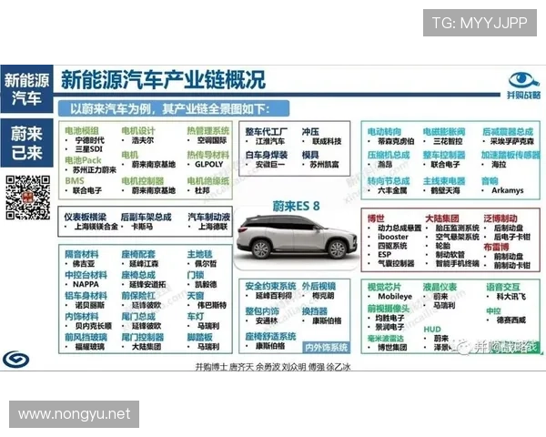 从赛场数据到舆论风向的体育评论深度分析与趋势解读全景新视角