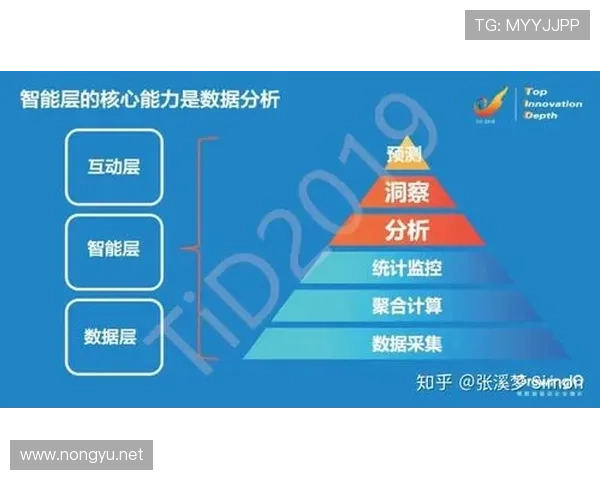 体育赛事数据驱动表现分析与趋势洞察综合研究报告标题深度扩展版 - 副本 - 副本 - 副本 体育赛事数据驱动表现分析与趋势洞察综合研究报告标题深度扩展版 - 副本 - 副本 - 副本